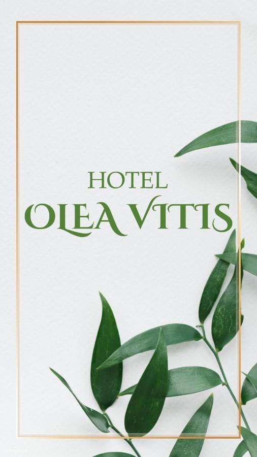 Olea Vitis Ξενοδοχείο Međugorje Εξωτερικό φωτογραφία
